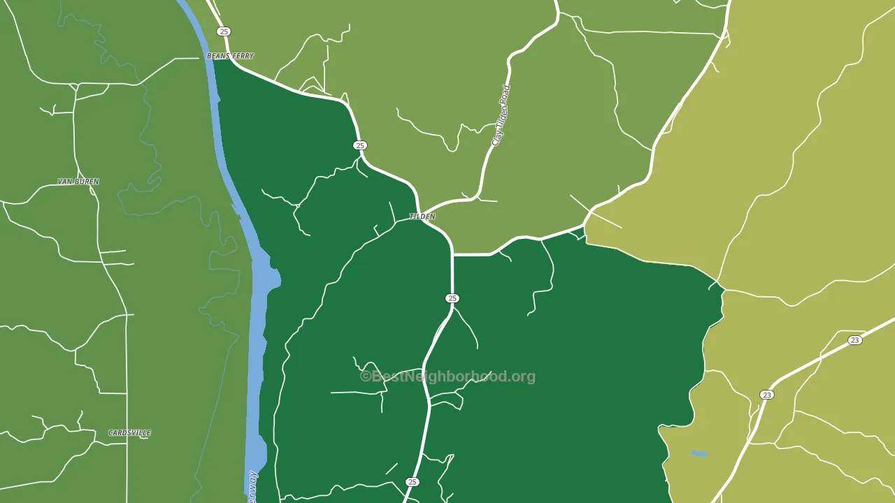 Tilden, MS block-group voter-turnout map