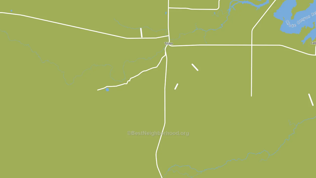 Tilden, TX block-group voter-turnout map
