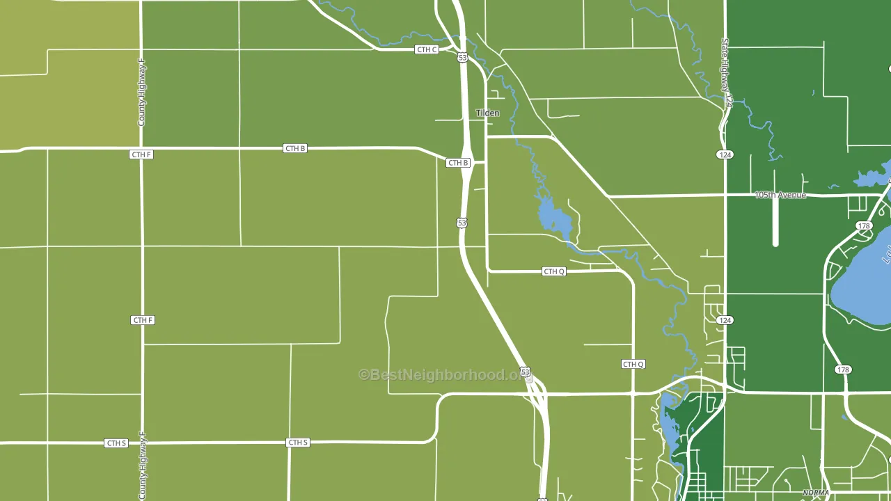Tilden, WI block-group voter-turnout map