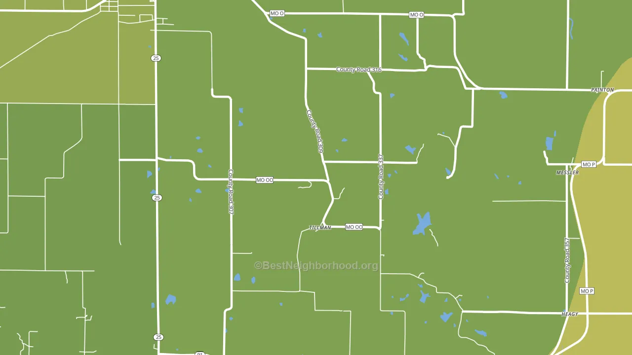 Tillman, MO block-group voter-turnout map