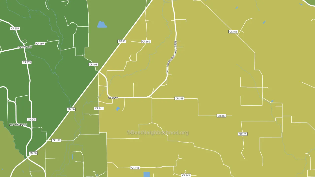 Tilmon, TX block-group voter-turnout map