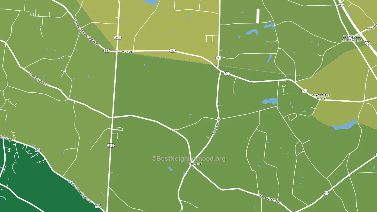 Timothy, NC block-group voter-turnout map