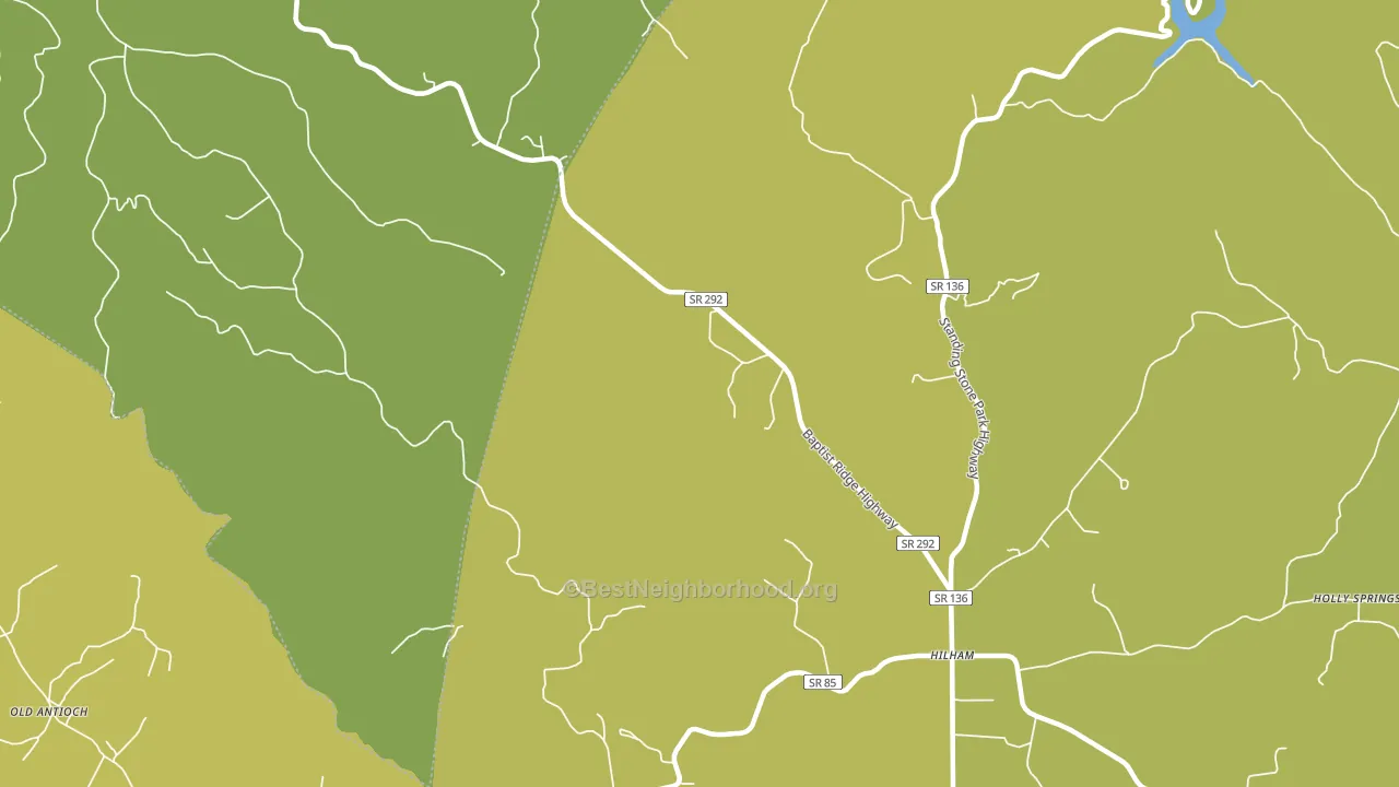 Timothy, TN block-group voter-turnout map