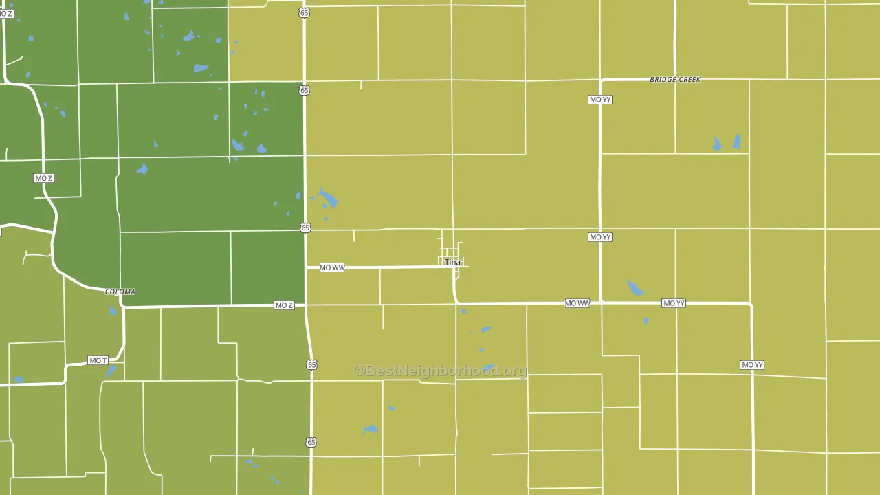 Tina, MO block-group voter-turnout map