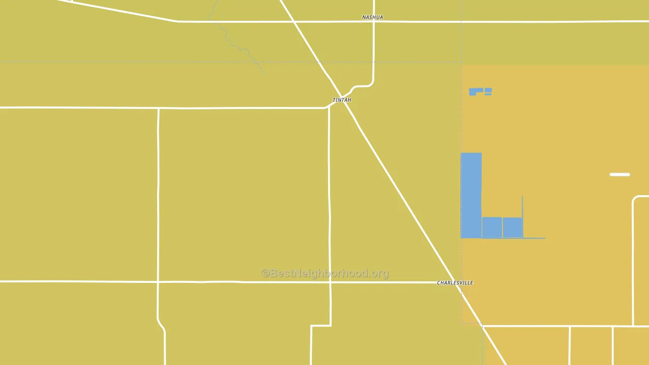 Tintah, MN block-group voter-turnout map