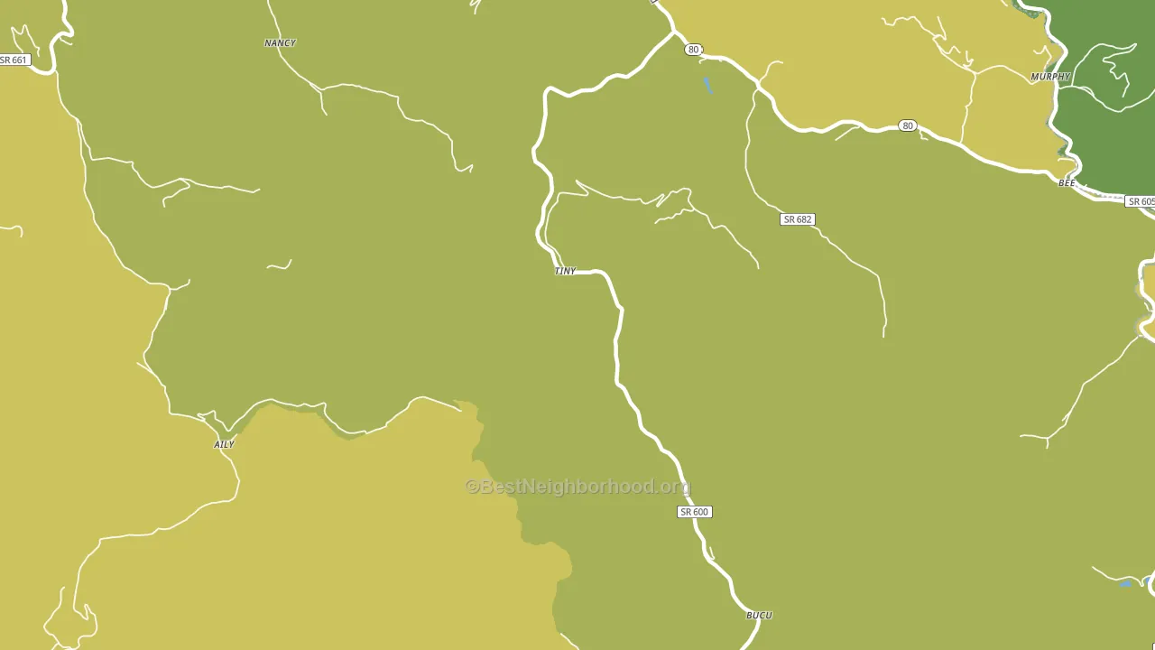 Tiny, VA block-group voter-turnout map