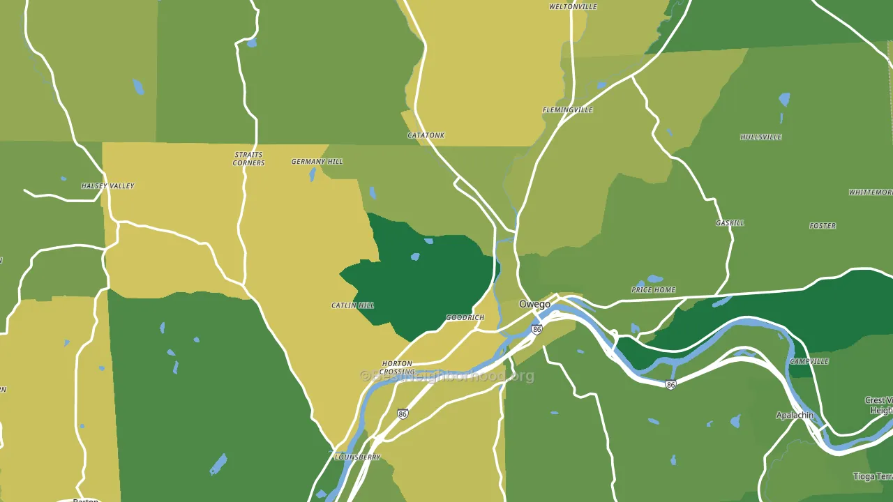 Tioga County, NY block-group voter-turnout map