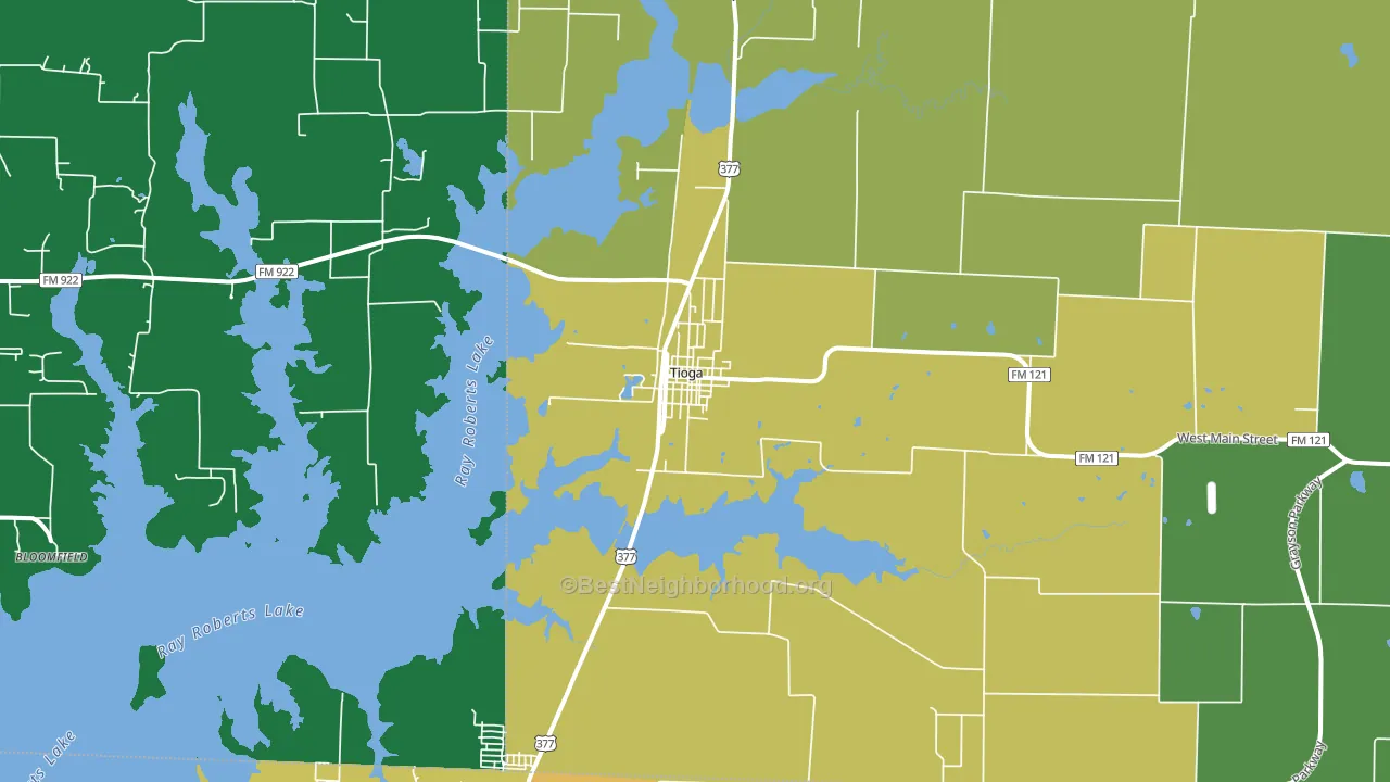 Tioga, TX block-group voter-turnout map