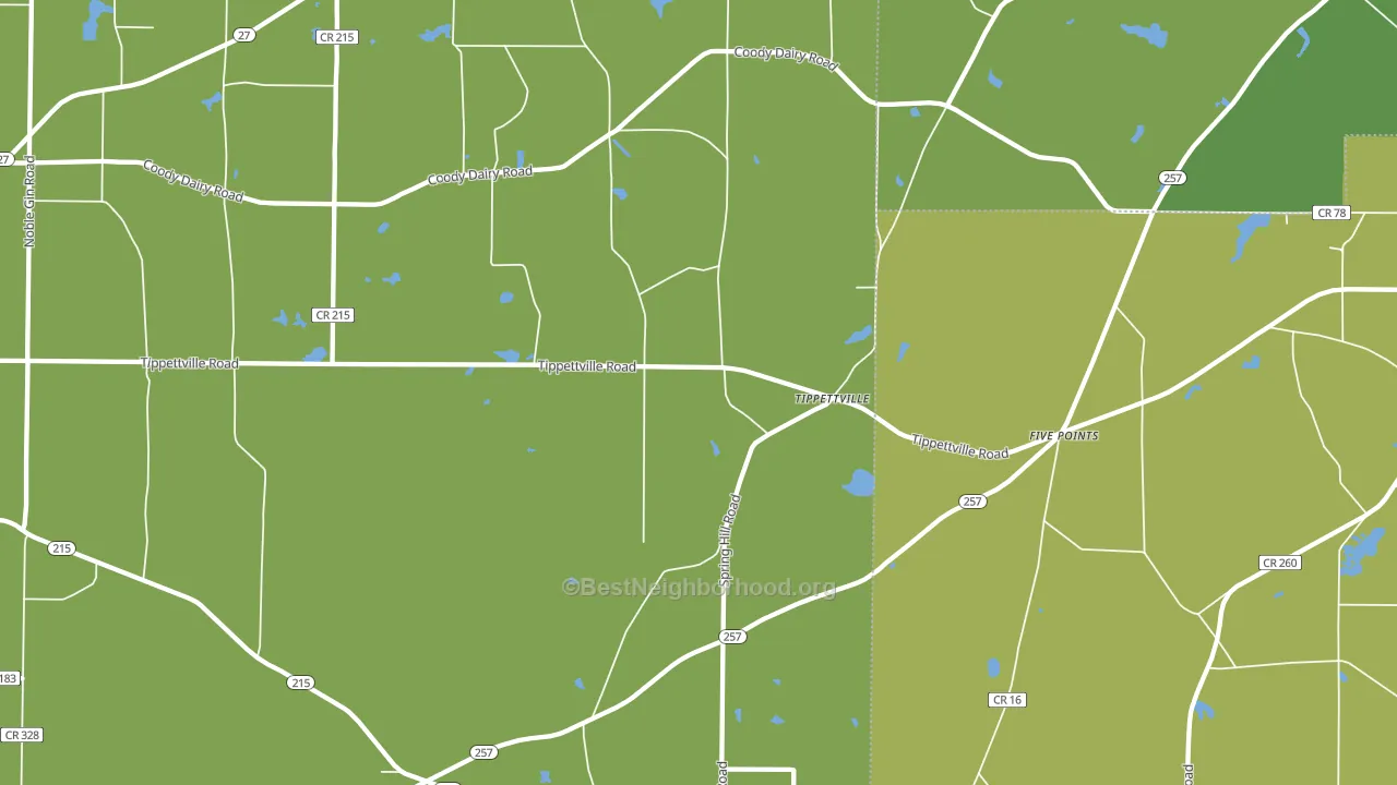 Tippettville, GA block-group voter-turnout map
