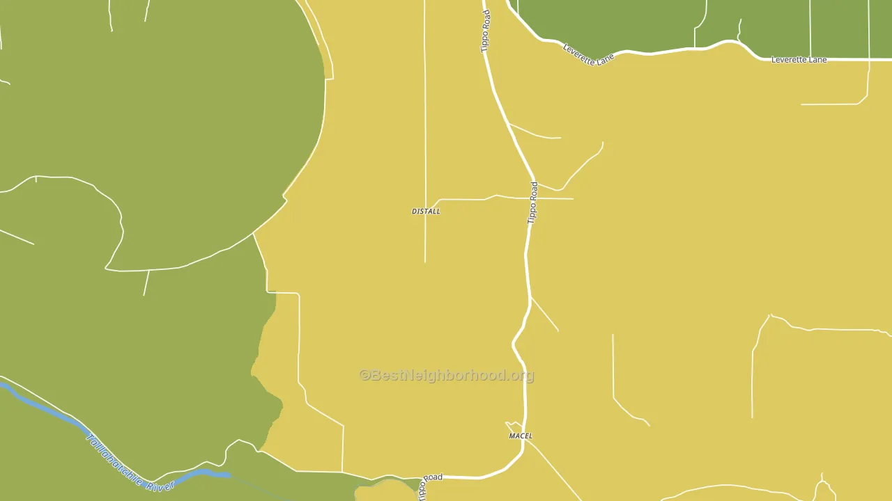 Tippo, MS block-group voter-turnout map