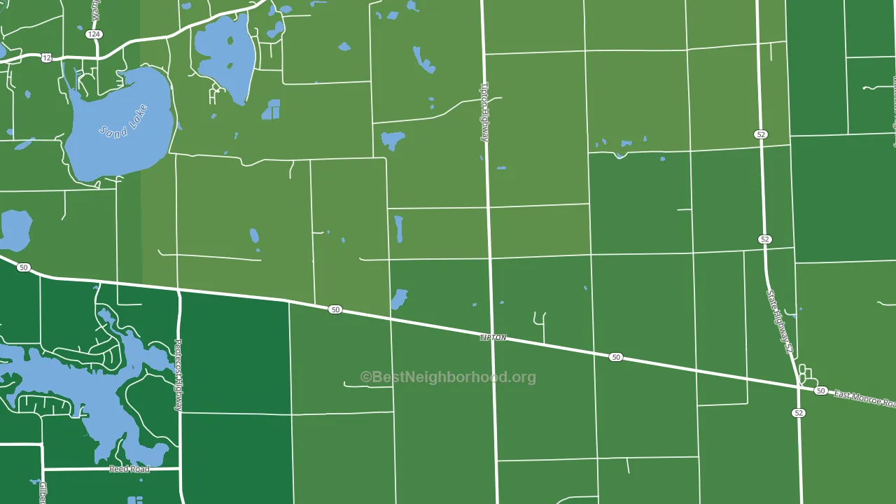 Tipton, MI block-group voter-turnout map