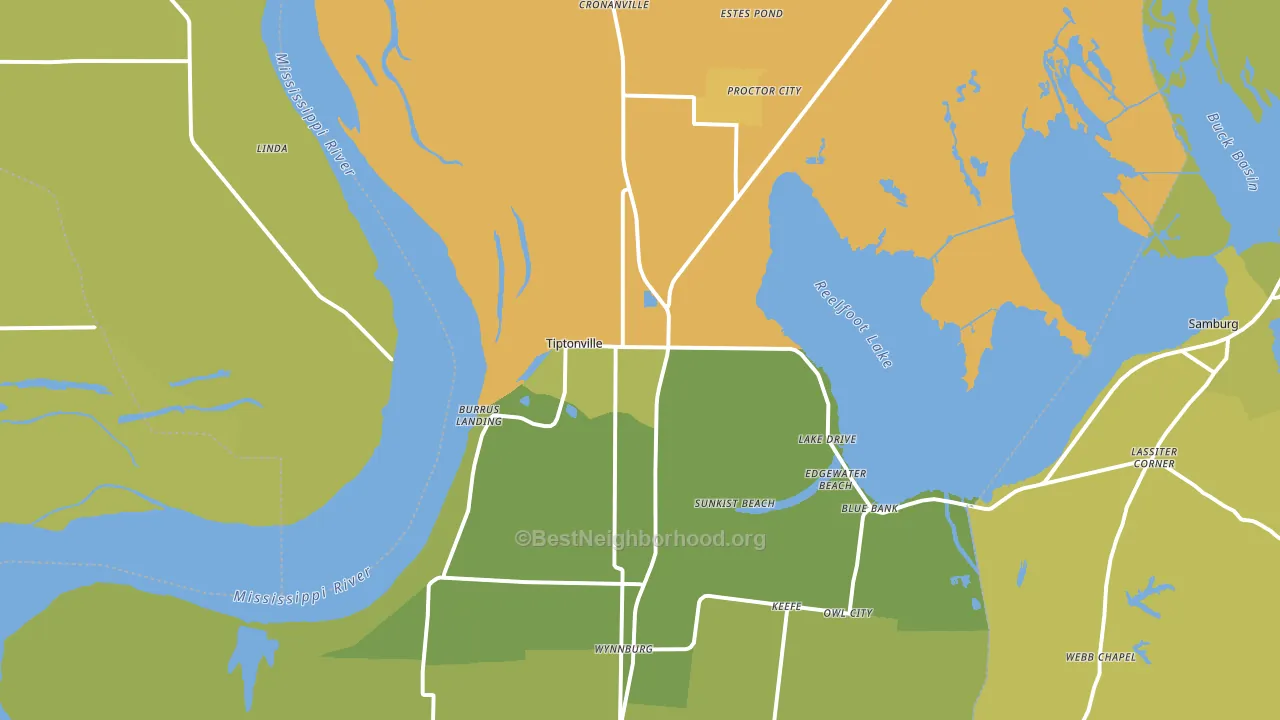 Tiptonville, TN block-group voter-turnout map