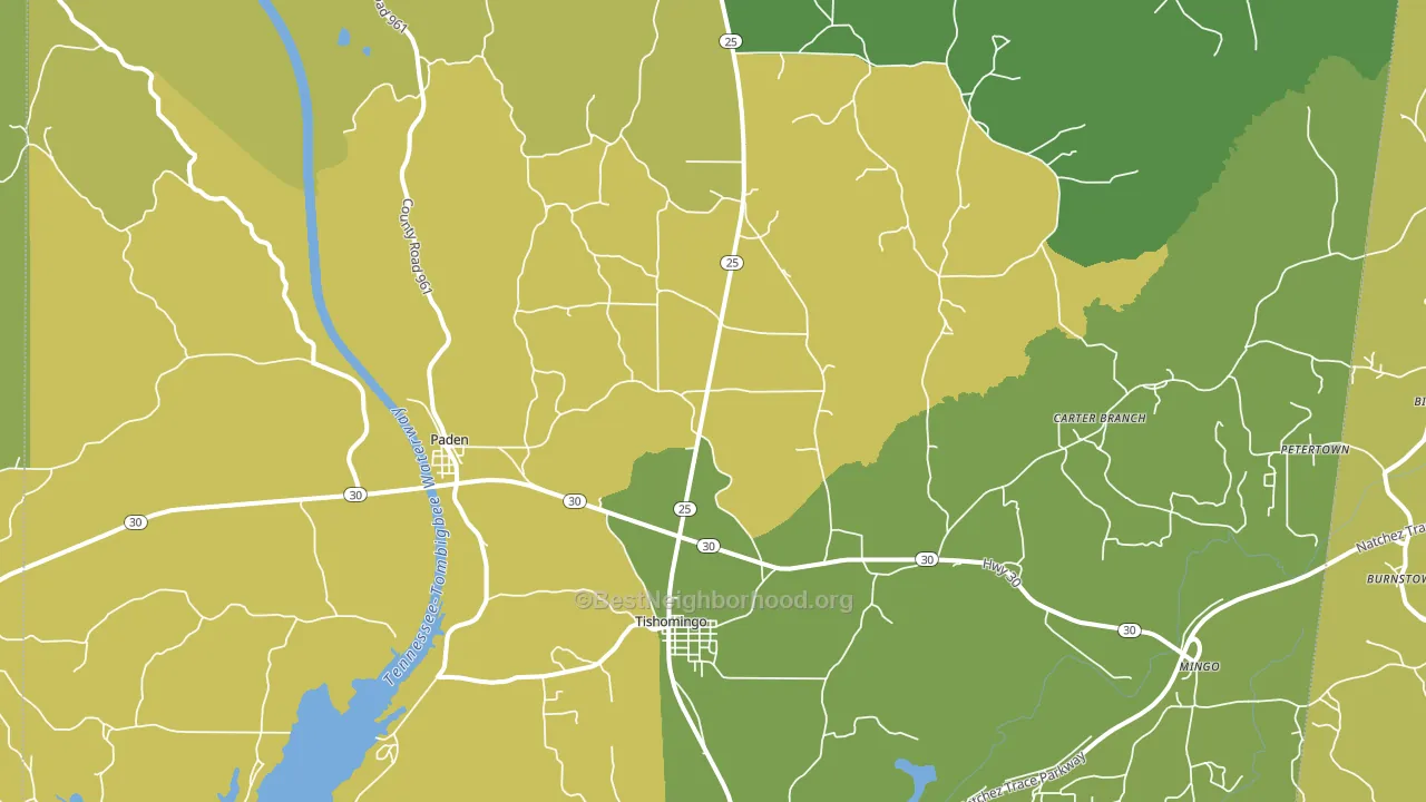 Tishomingo, MS block-group voter-turnout map