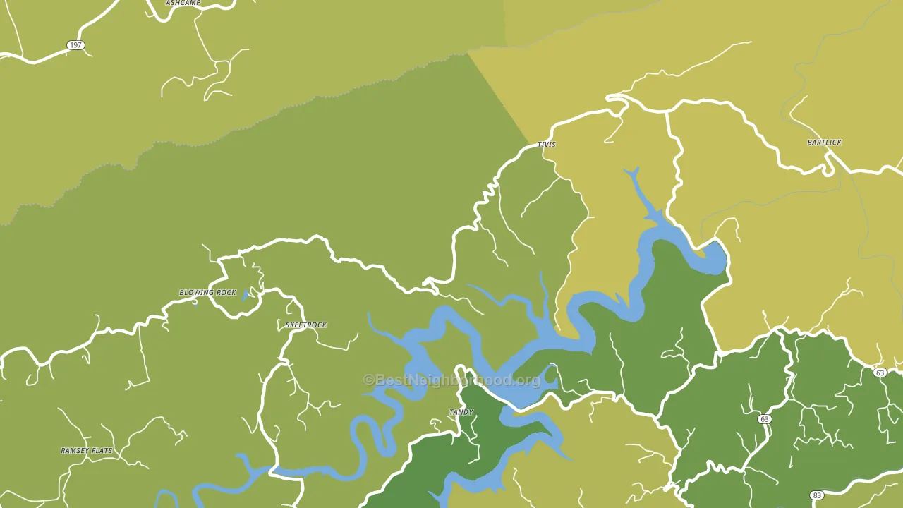 Tivis, VA block-group voter-turnout map