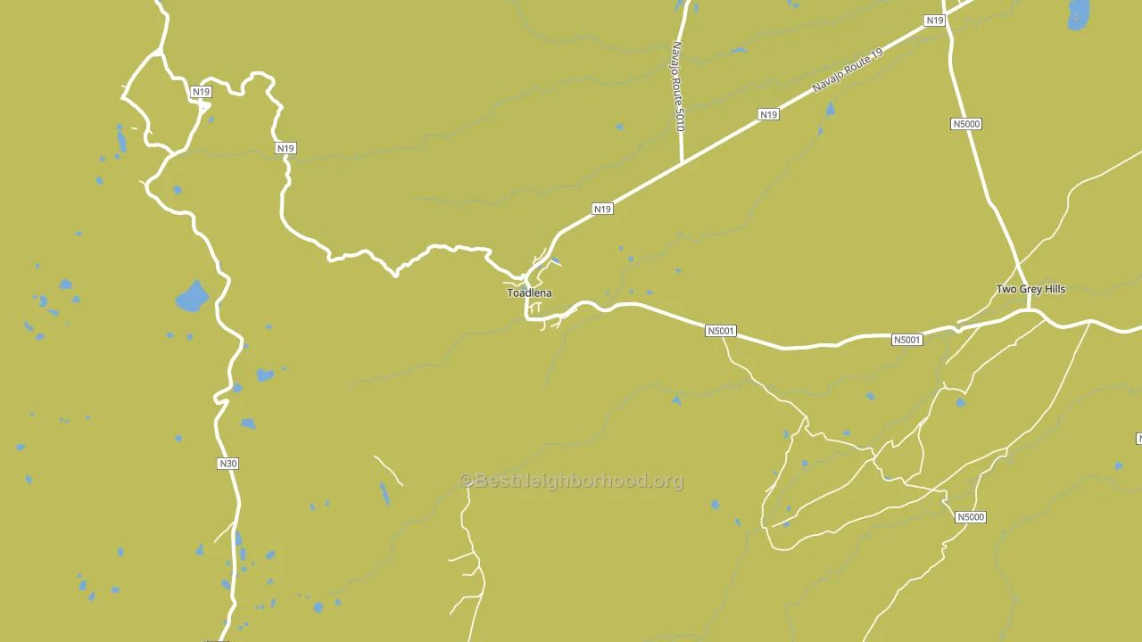 Toadlena, NM block-group voter-turnout map