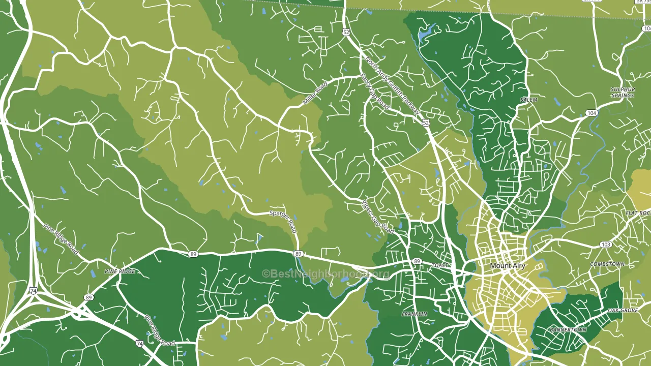 Toast, NC block-group voter-turnout map