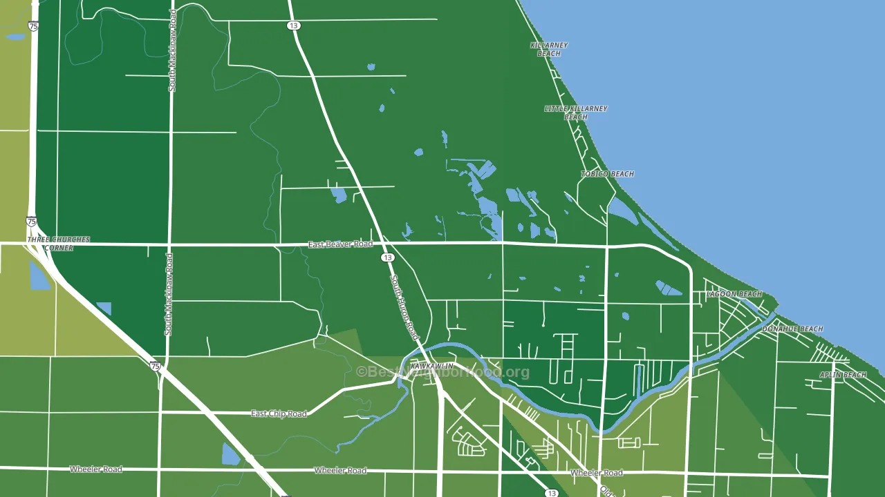 Tobico Beach, MI block-group voter-turnout map