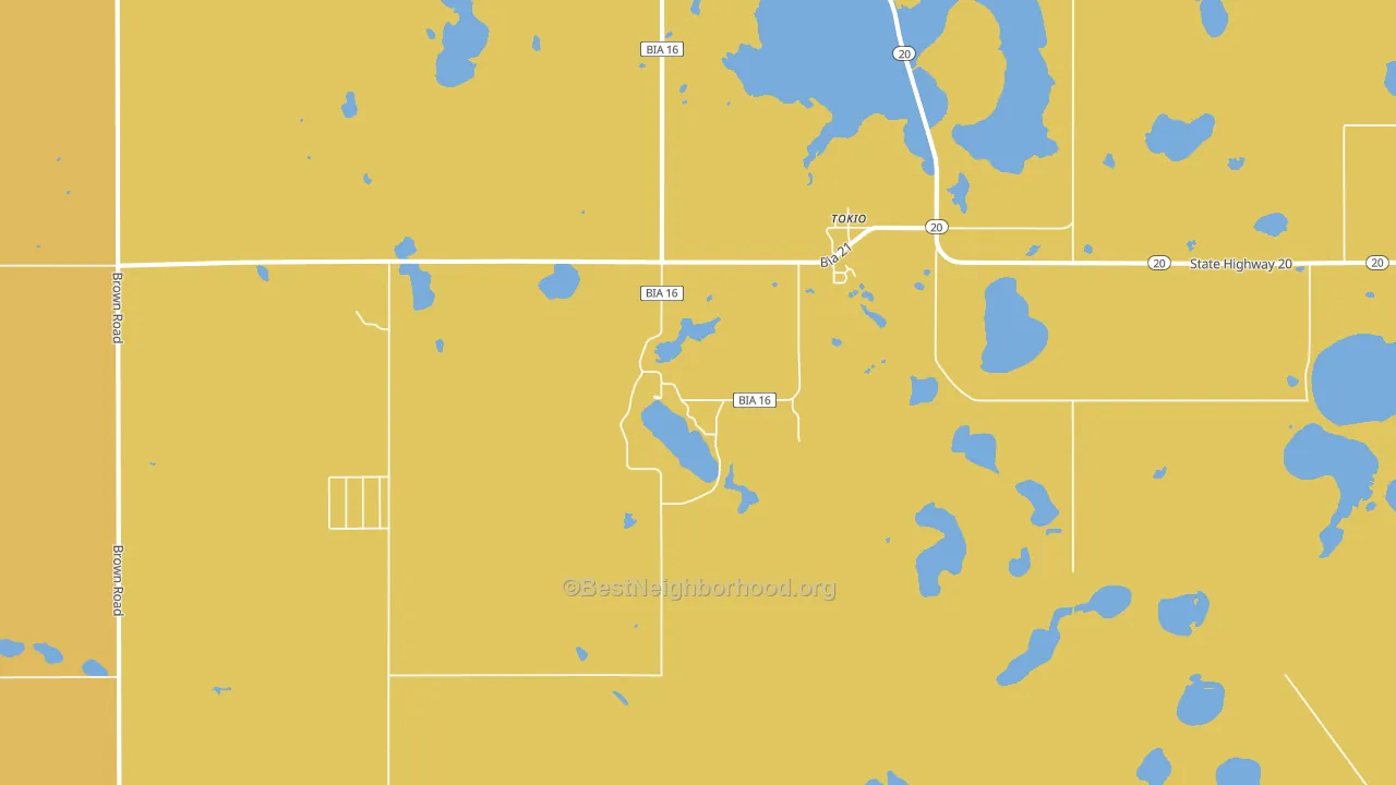 Tokio, ND block-group voter-turnout map