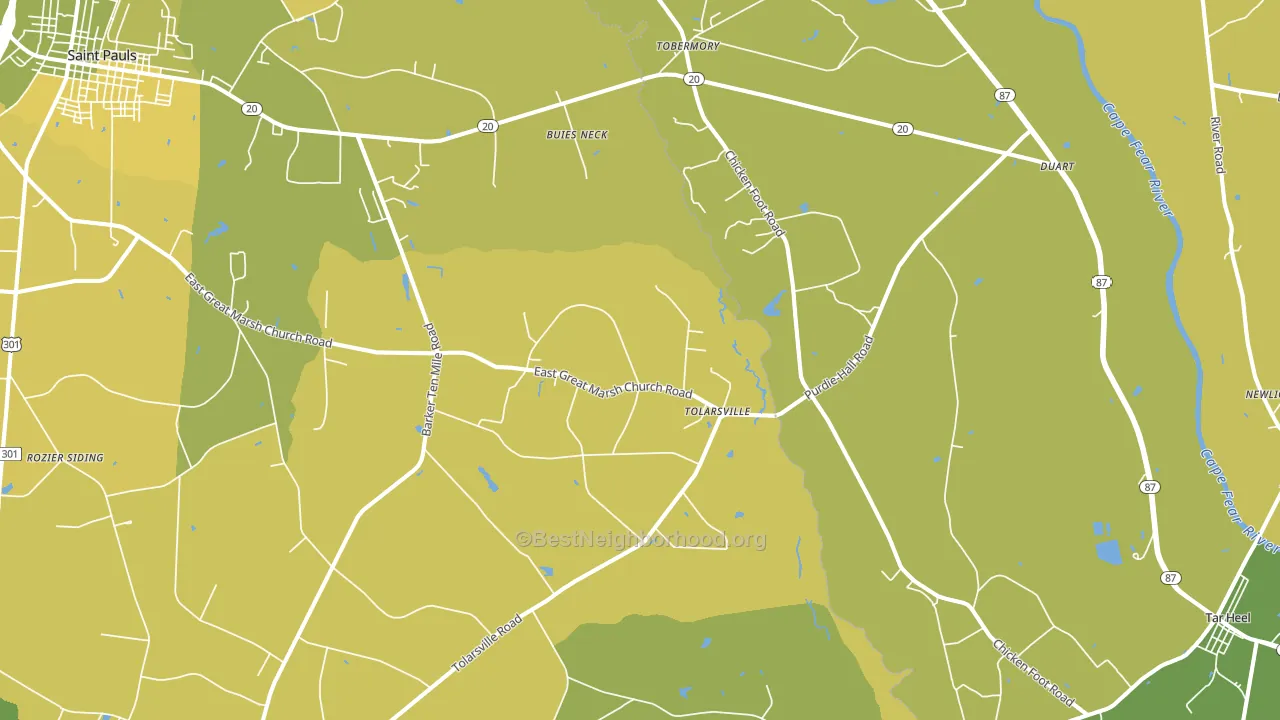 Tolarsville, NC block-group voter-turnout map