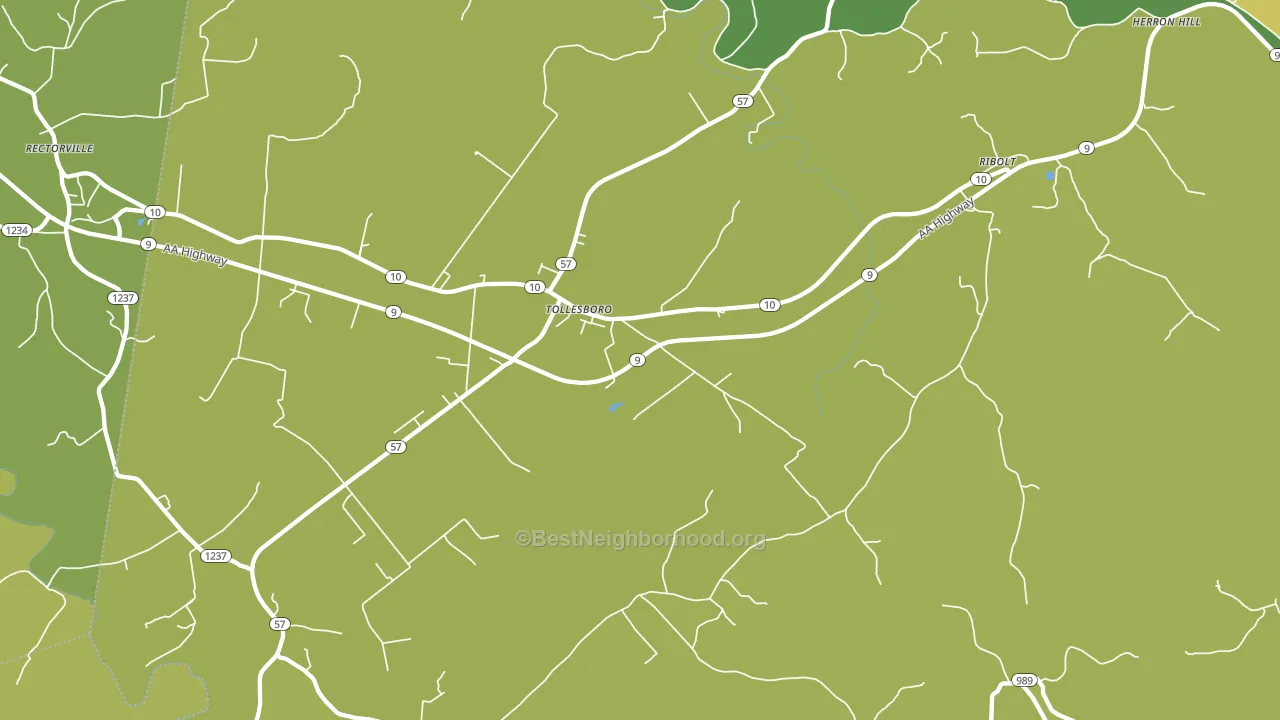 Tollesboro, KY block-group voter-turnout map