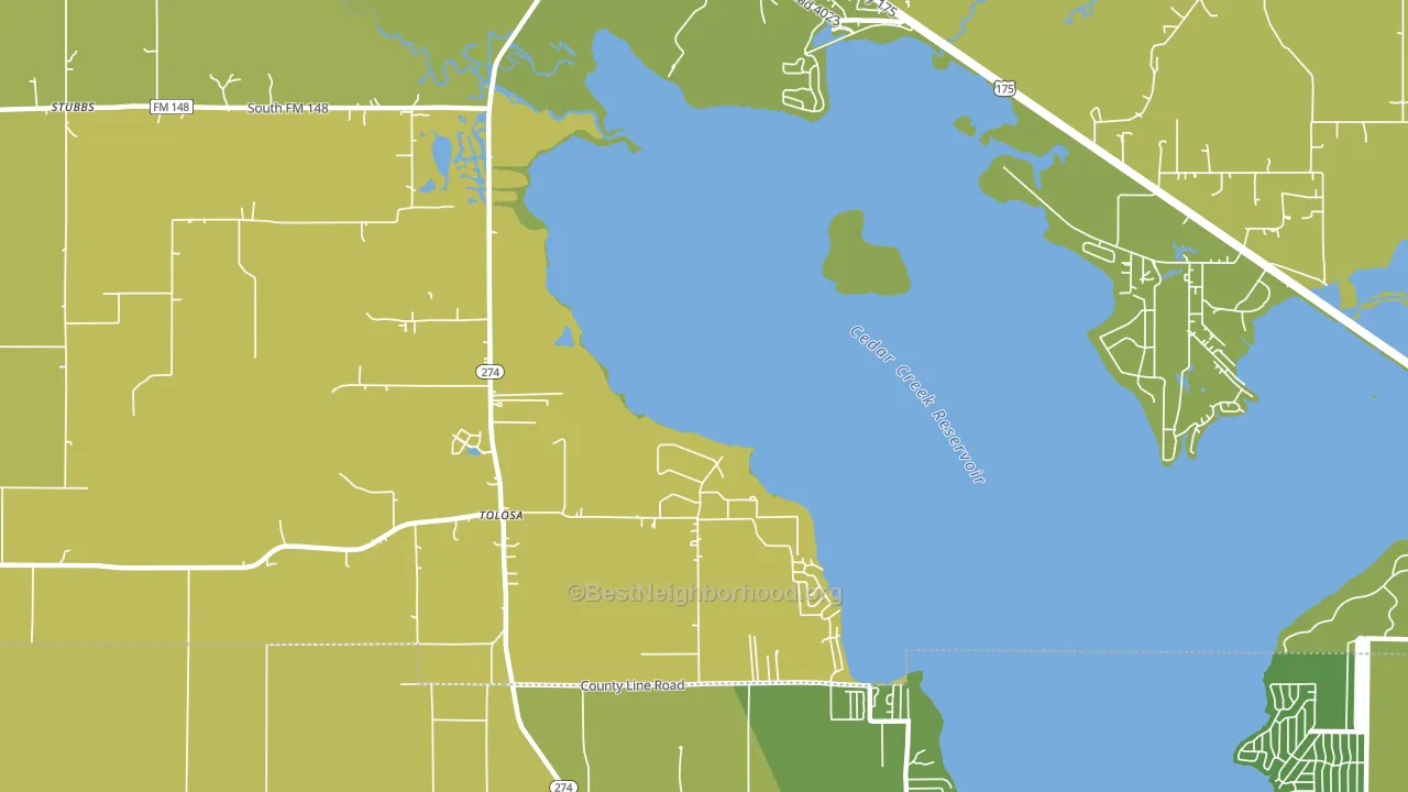 Tolosa, TX block-group voter-turnout map