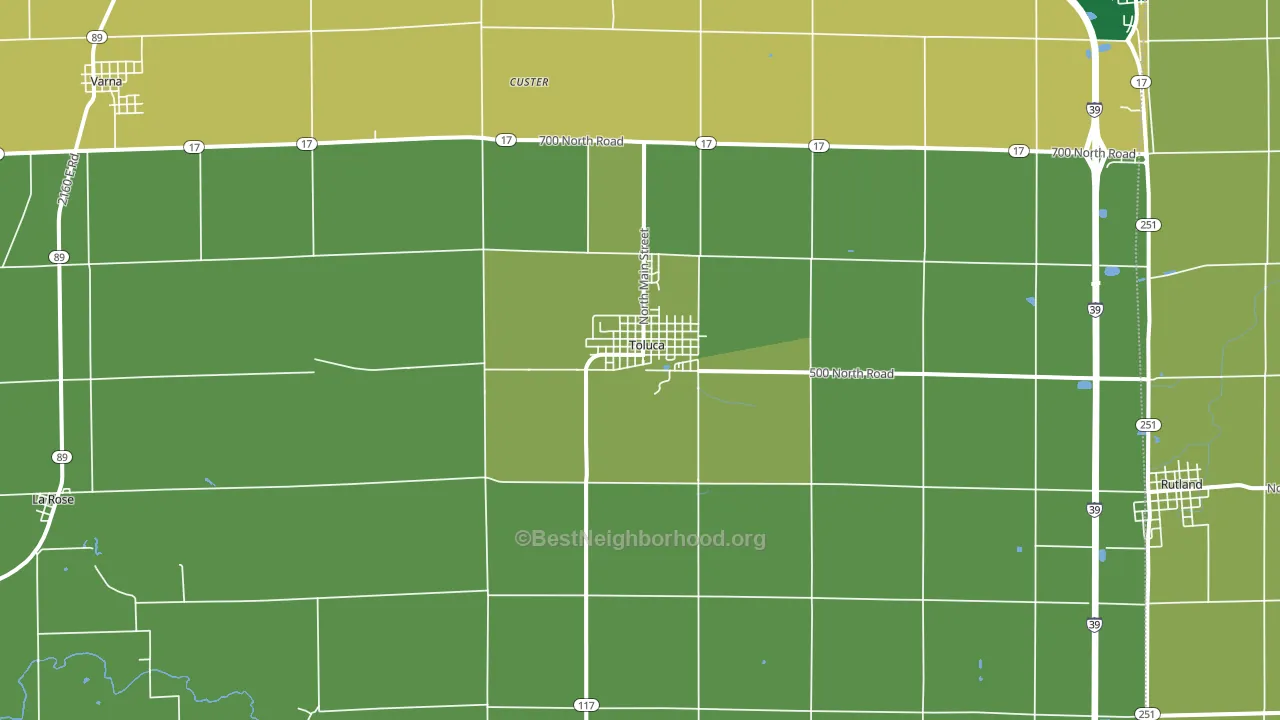 Toluca, IL block-group voter-turnout map