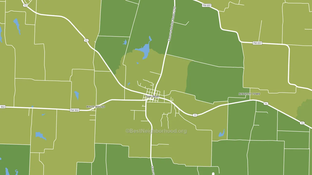 Tom Bean, TX block-group voter-turnout map