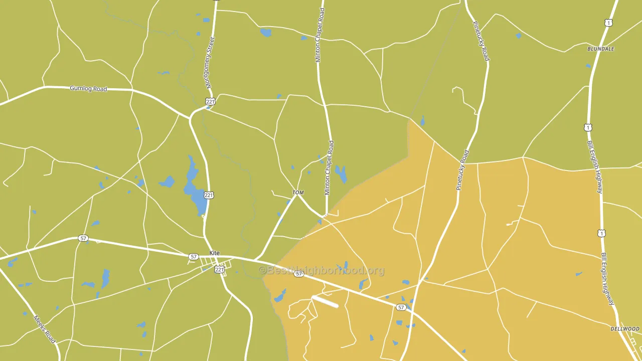 Tom, GA block-group voter-turnout map