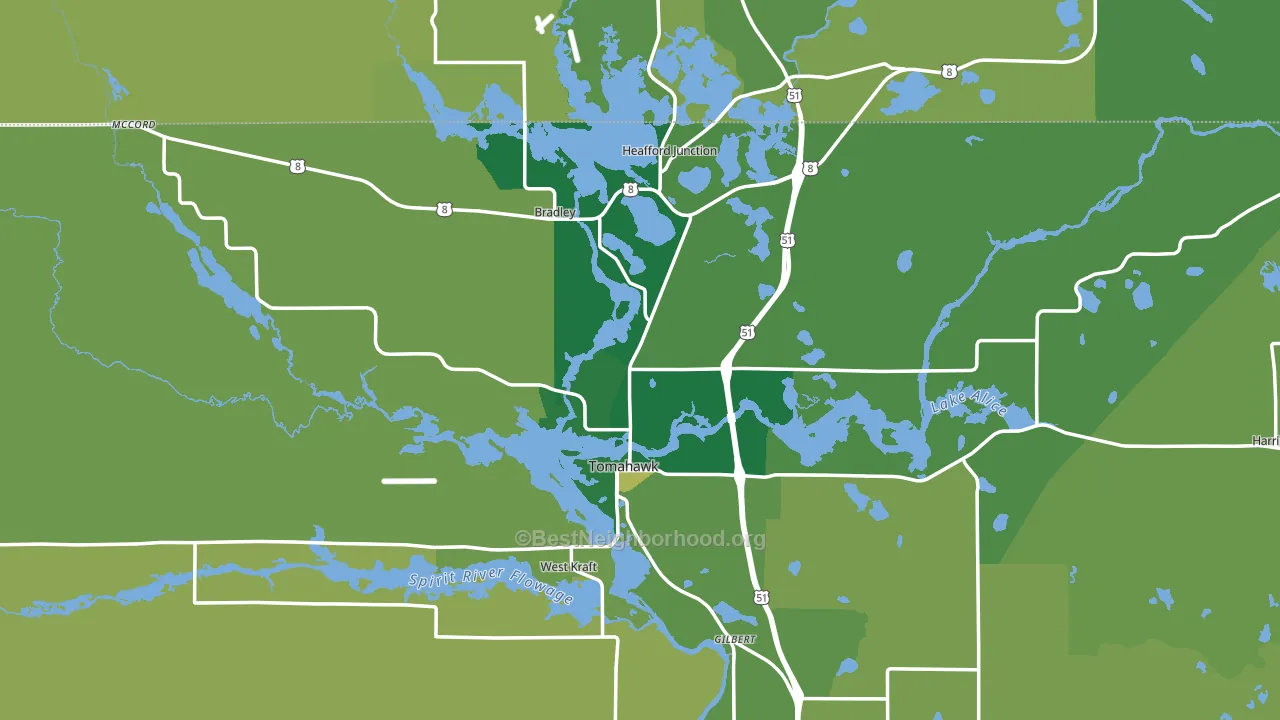 Tomahawk, WI block-group voter-turnout map