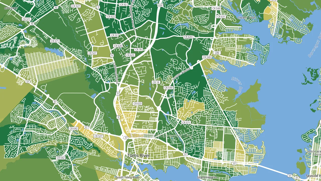 Toms River, NJ block-group voter-turnout map