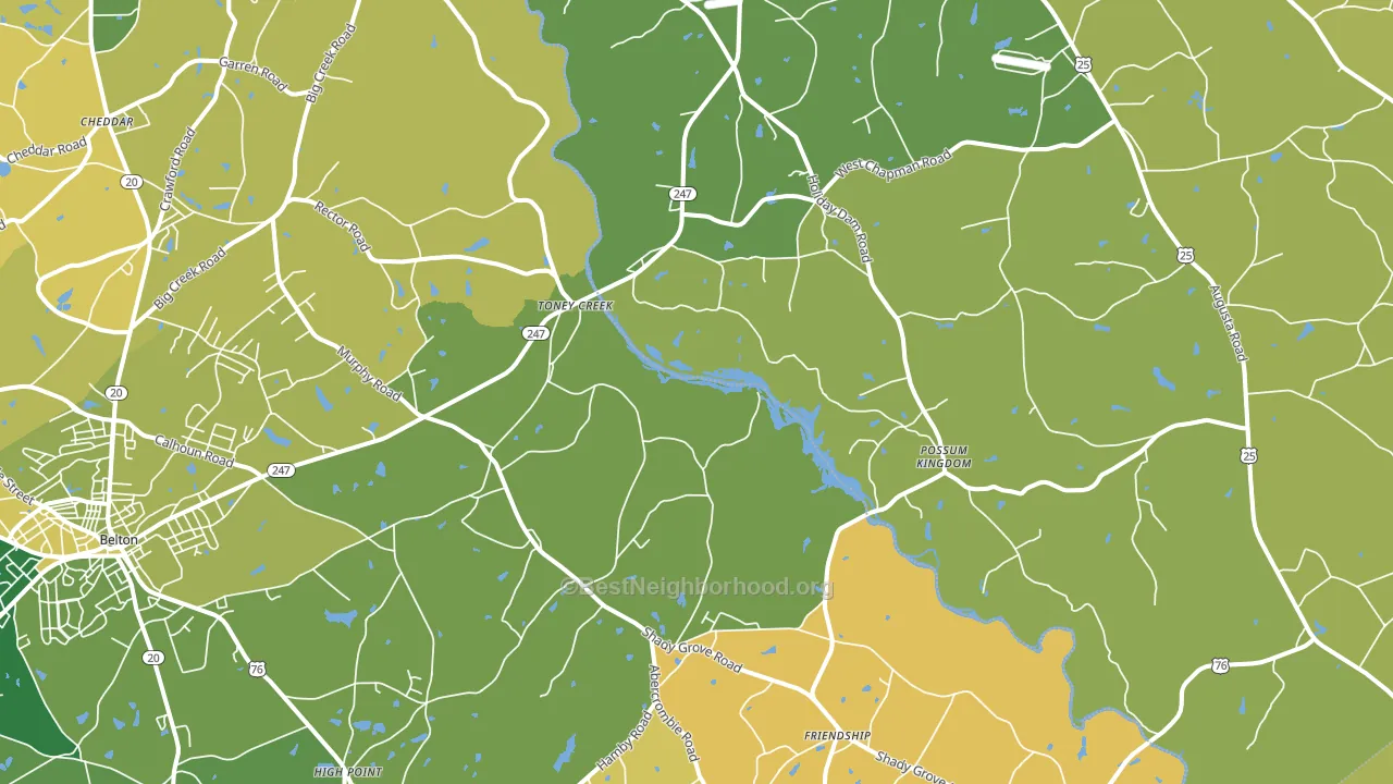 Toney Creek, SC block-group voter-turnout map