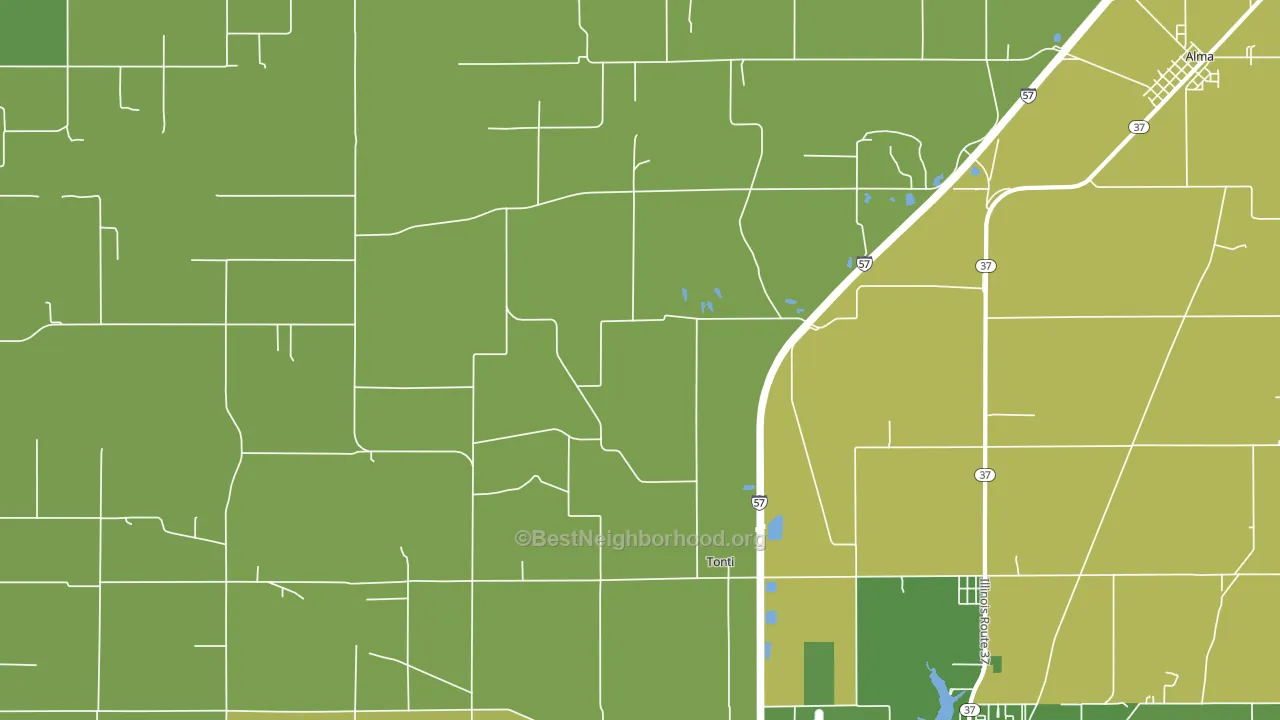 Tonti, IL block-group voter-turnout map