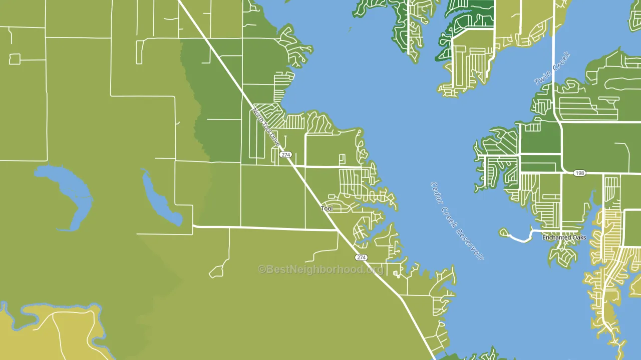 Tool, TX block-group voter-turnout map