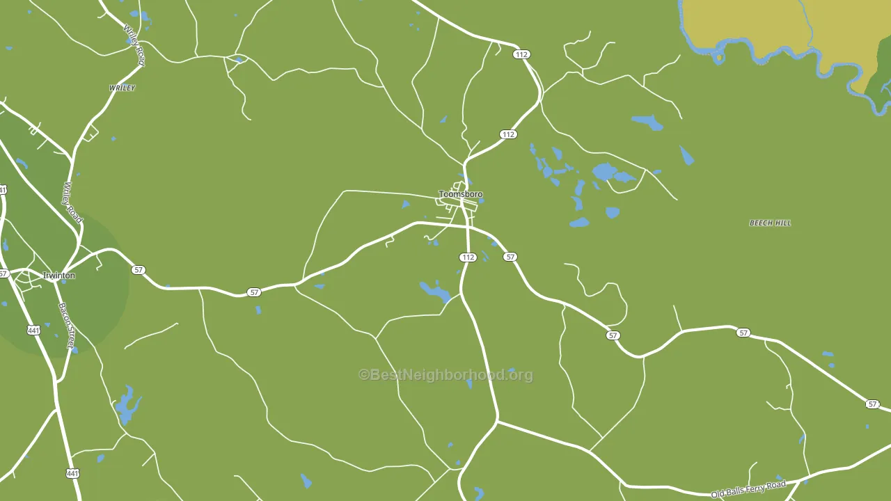 Toomsboro, GA block-group voter-turnout map