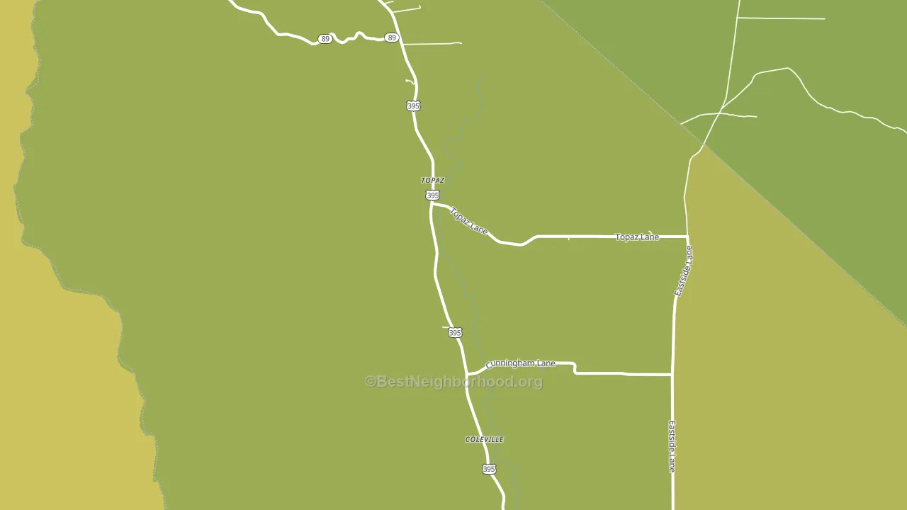Topaz, CA block-group voter-turnout map