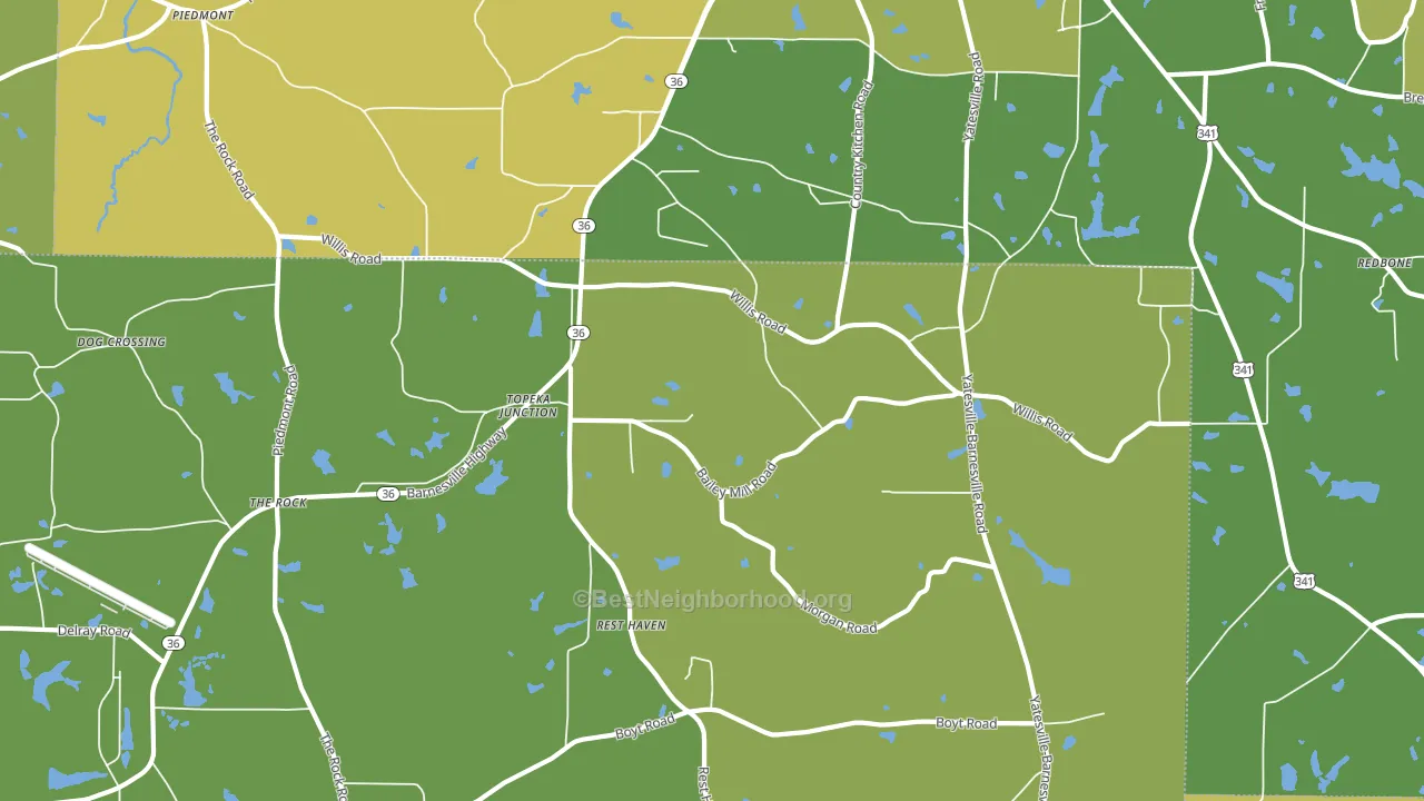 Topeka Junction, GA block-group voter-turnout map