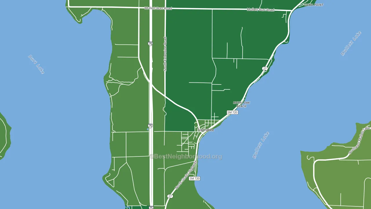 Topinabee, MI block-group voter-turnout map