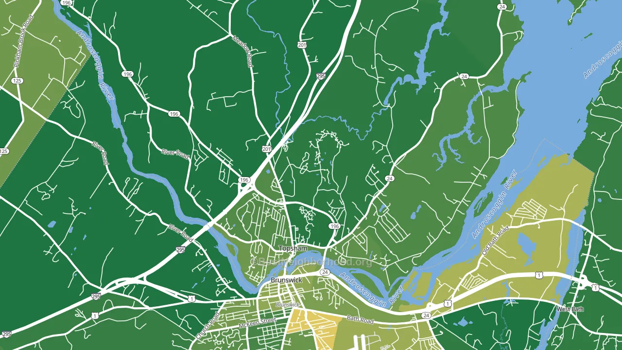Topsham, ME block-group voter-turnout map