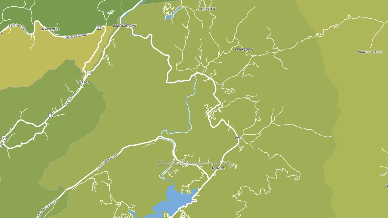 Topton, NC block-group voter-turnout map