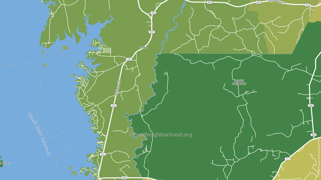 Toro, LA block-group voter-turnout map