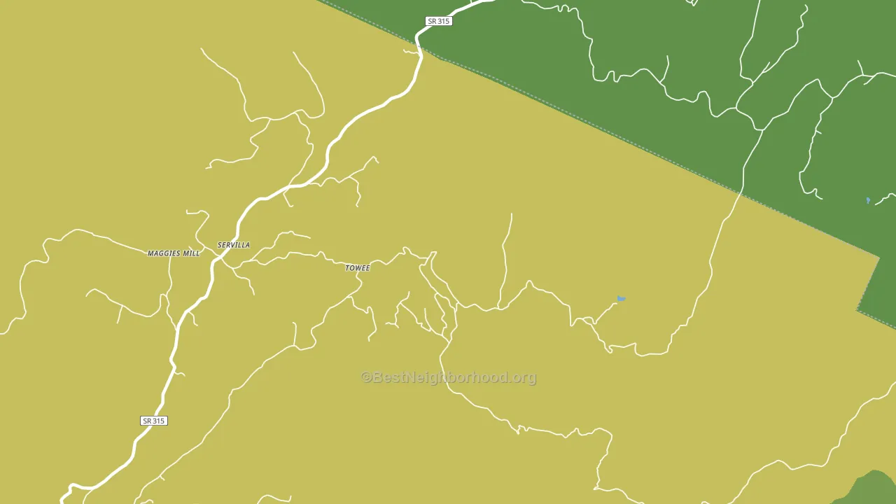 Towee, TN block-group voter-turnout map