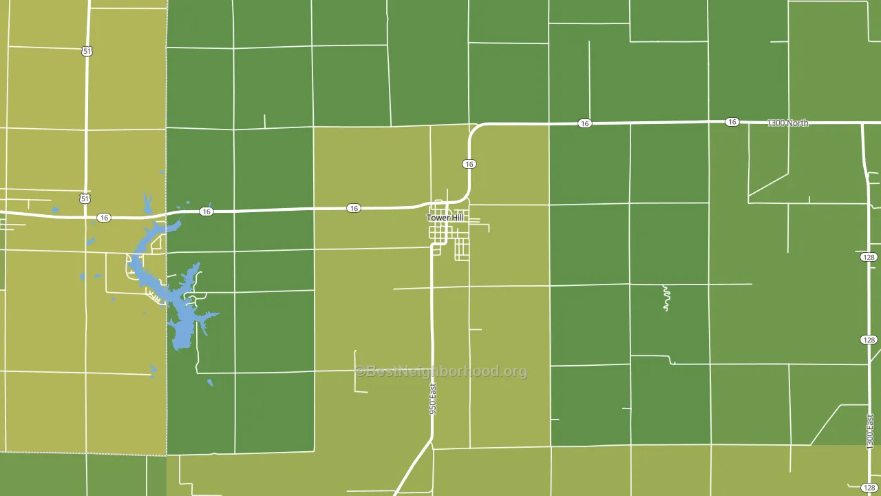 Tower Hill, IL block-group voter-turnout map