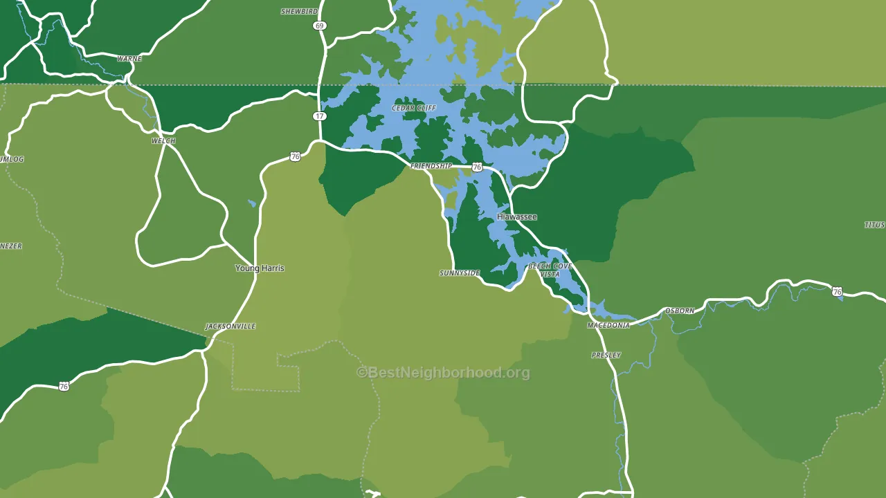 Towns County, GA block-group voter-turnout map