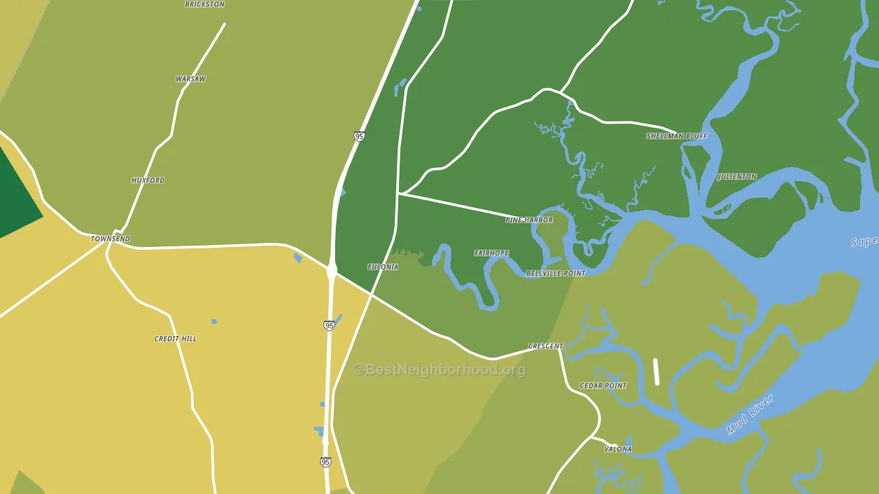 Townsend, GA block-group voter-turnout map