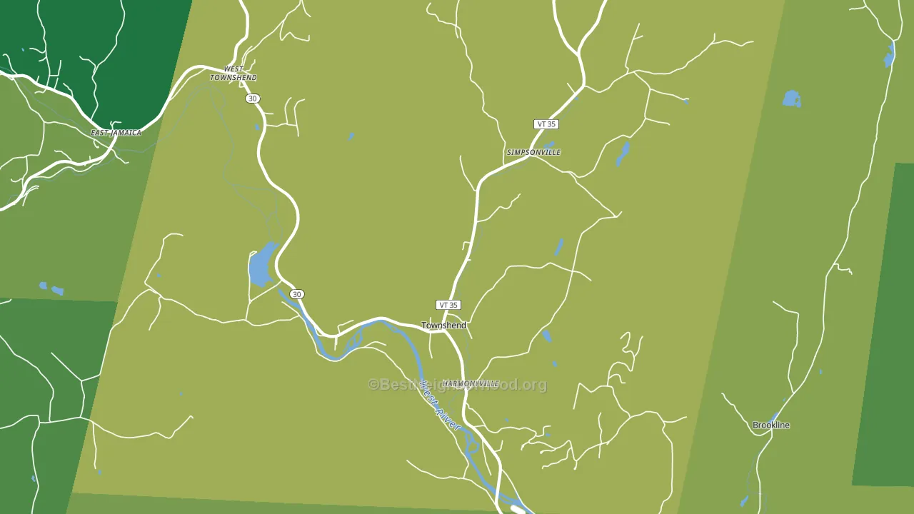 Townshend, VT block-group voter-turnout map