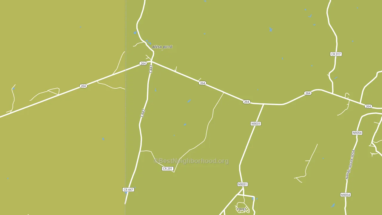 Toyei, AZ block-group voter-turnout map