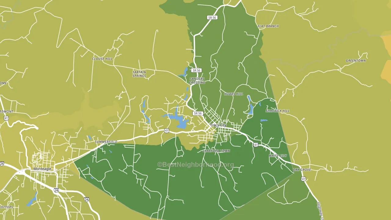 Tracy City, TN block-group voter-turnout map
