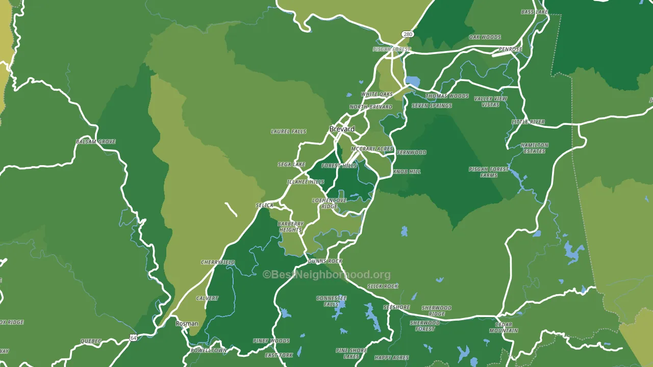 Transylvania County, NC block-group voter-turnout map