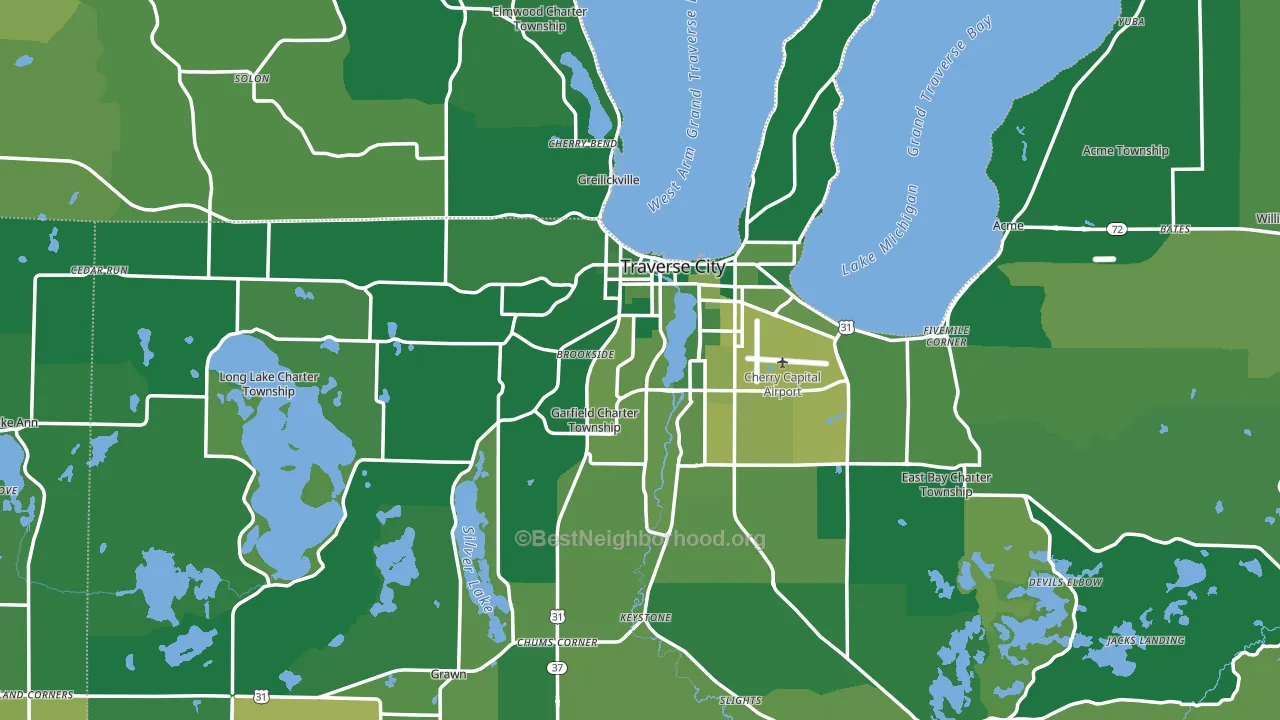 Traverse City, MI block-group voter-turnout map