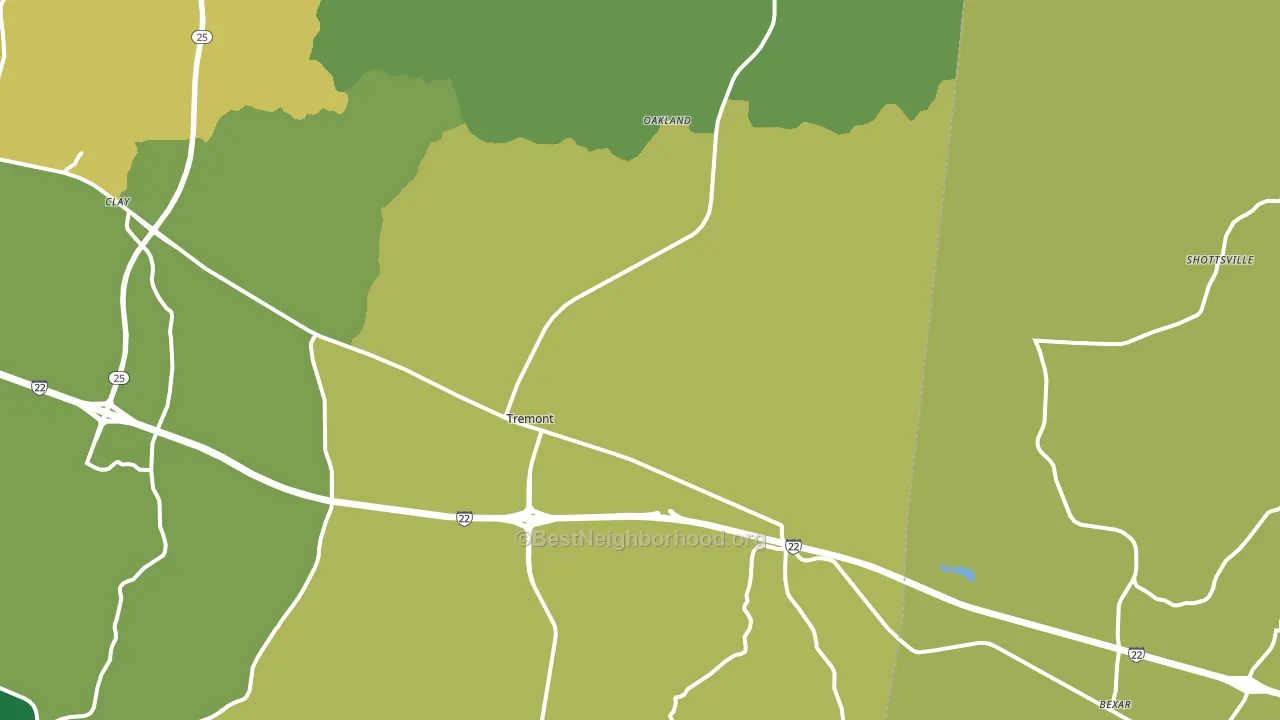 Tremont, MS block-group voter-turnout map